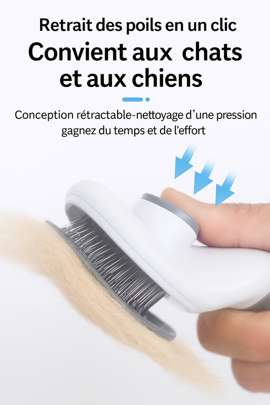 Brosse de chat pour toilettage
